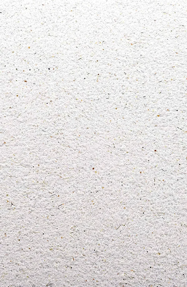 Texture enduit façade blanc RAL 9010